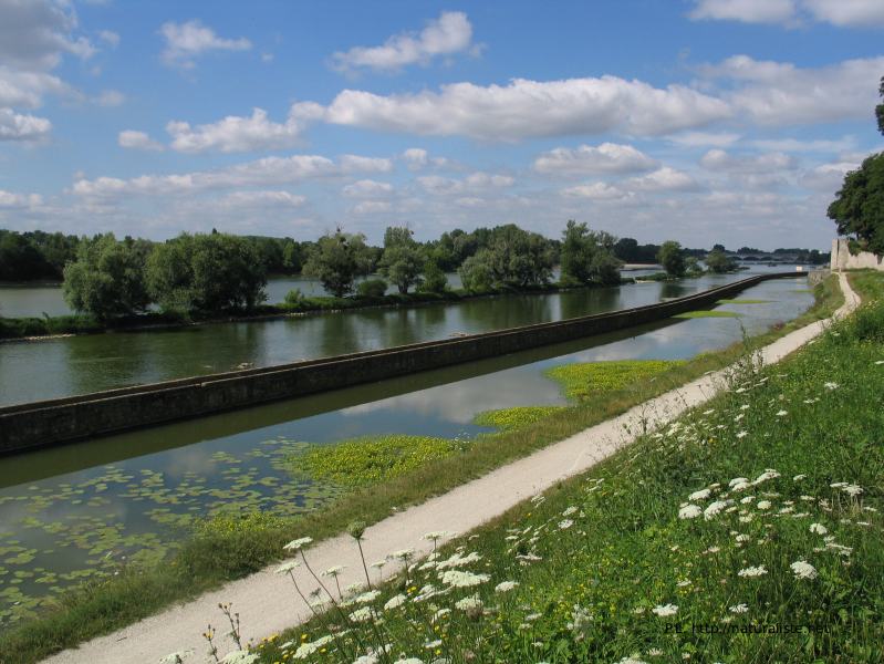 Canal d'Orléans 2005